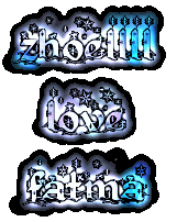 Zhoellll2